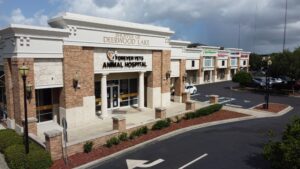 Copy of DJI_0232 (2)