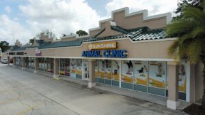 Photo_6553850_DJI_250_jpg_4406443_0_202171411120_photo_original